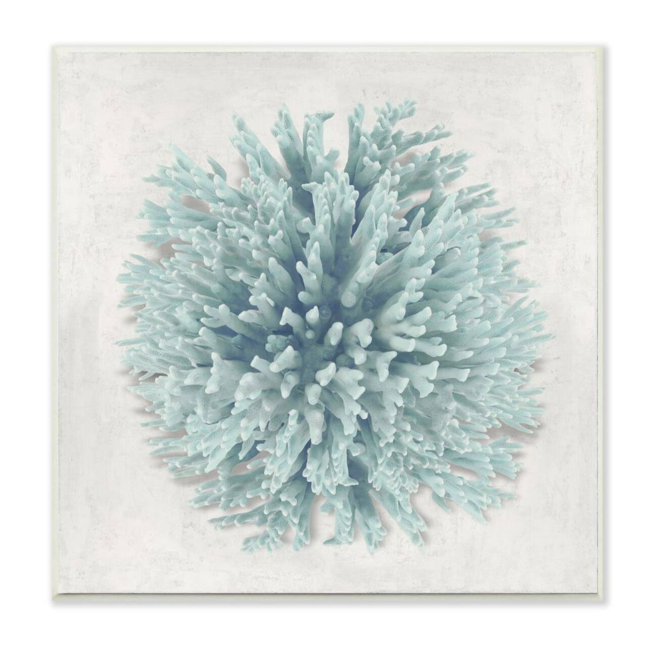 Stupell Industries Coral Ball Blue Sea Beach Design Wood Wall Plaque